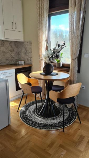 MS Apartman